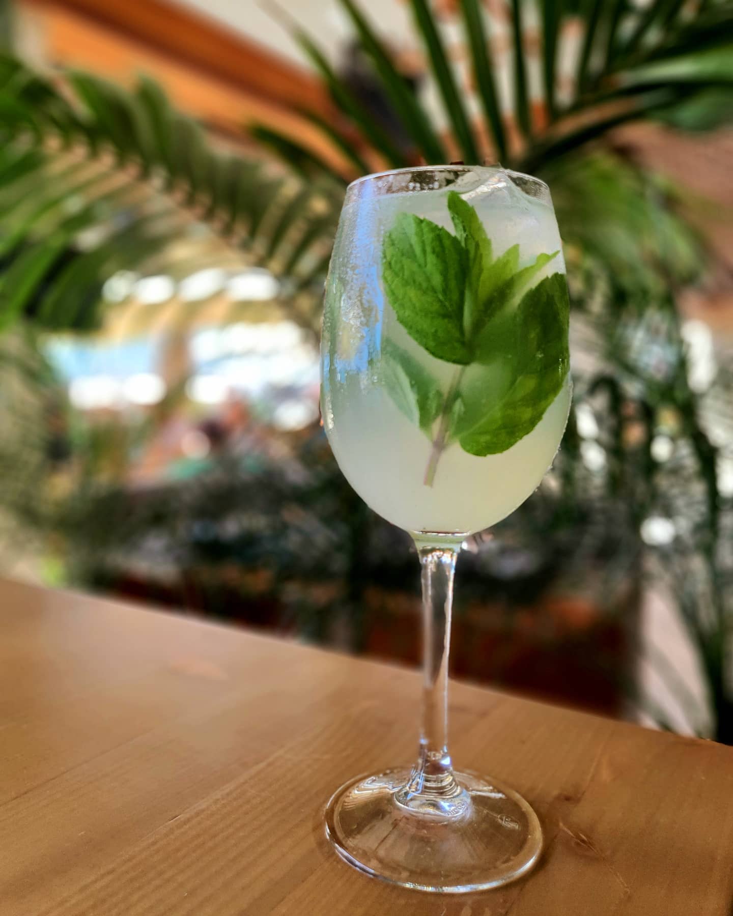Cocktails and Sunset at Alea